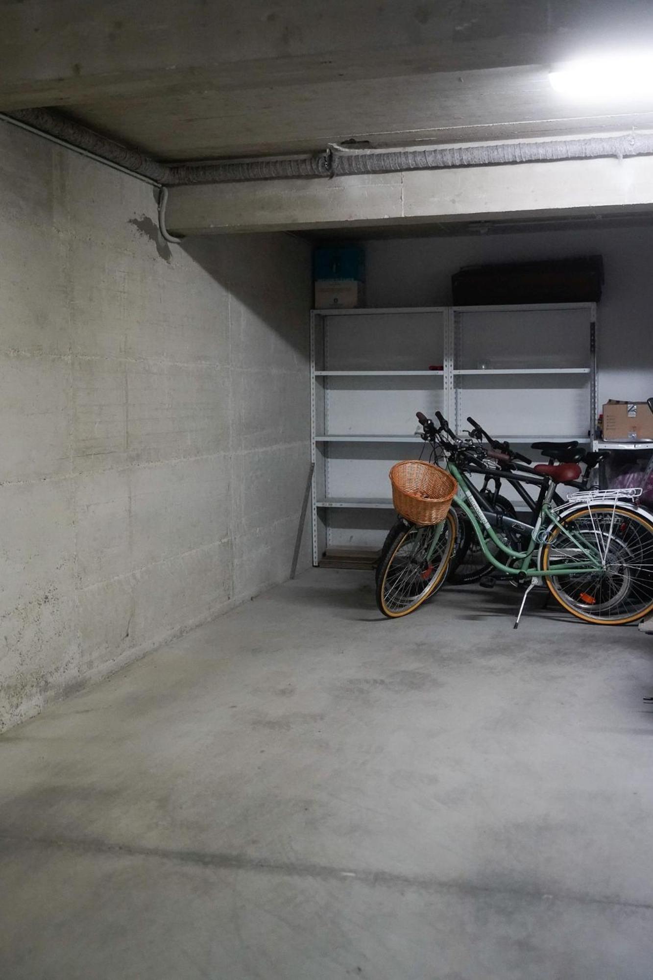 Dandelion Apartment Rovinj-Free Bikes Εξωτερικό φωτογραφία